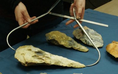 b_cf489b7636dd81e1cbd1eaadf98bc0a3