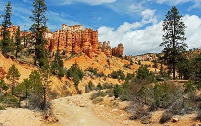 363849034_6835894453087925_2710164319518316014_n