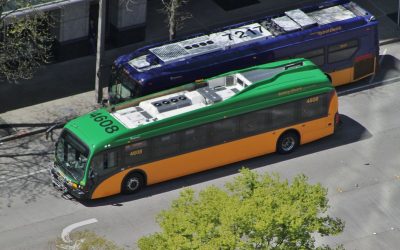 40988052724_2482e25180_c