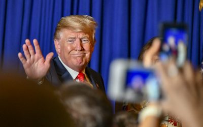 46070716132_c7015d62c0_c