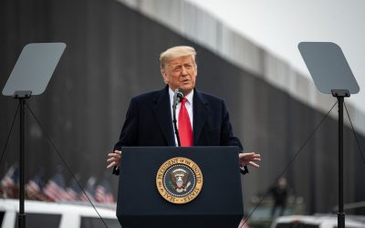 50831333073_948fe9dc41_c