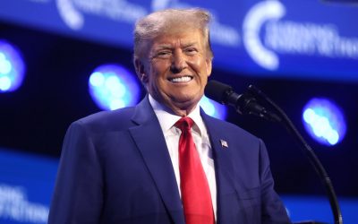 53066688047_5991cab450_c