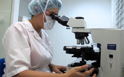 microscope-2352651_1280