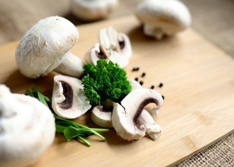 mushrooms-6320451_1280