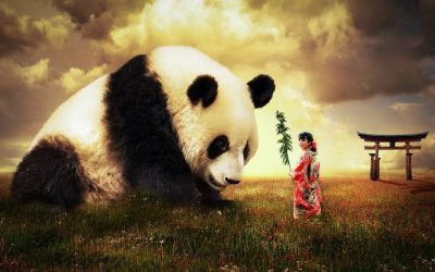 panda-japan