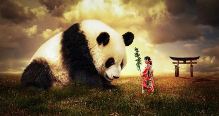 panda-japan