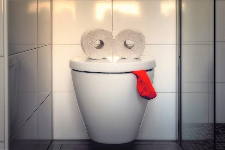 toilet