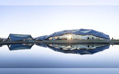 Без названия