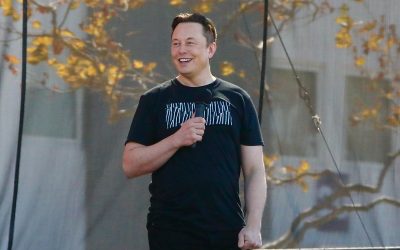 50376740888_7a2a582238_c