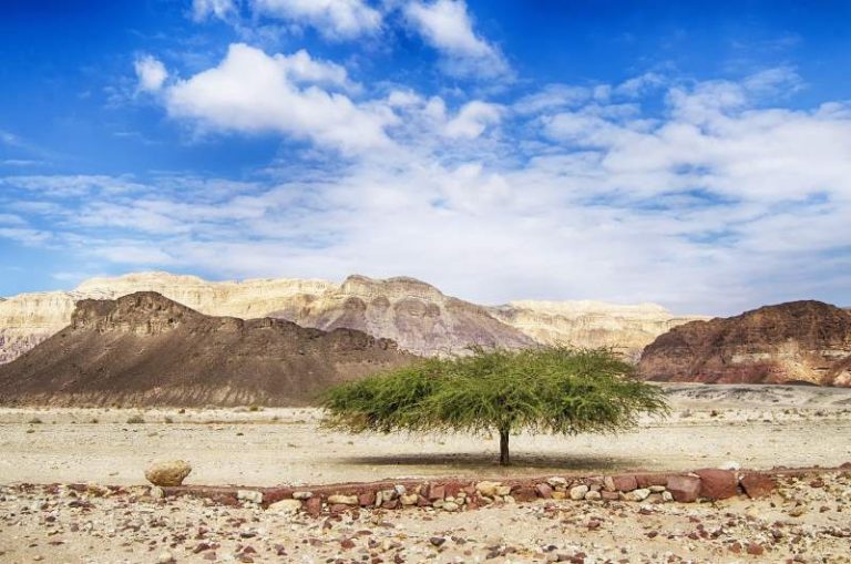 israel