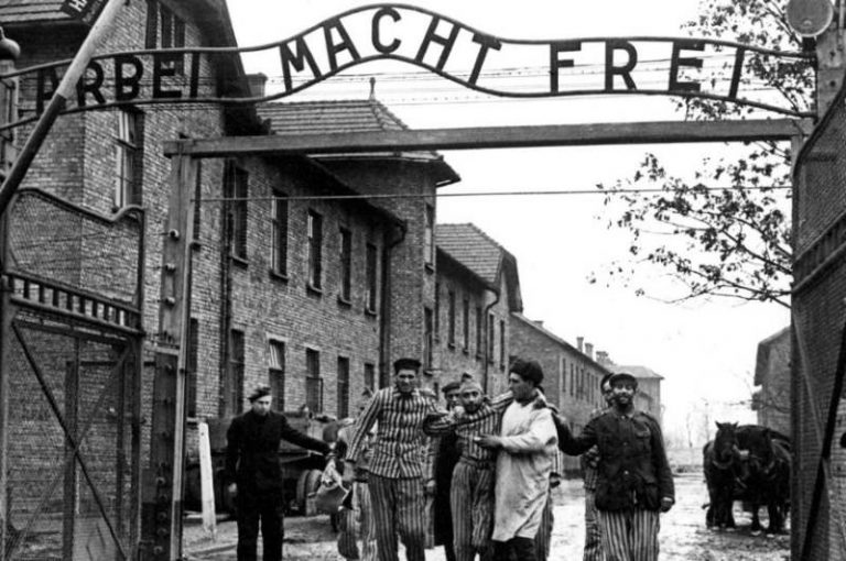 21 малин camps