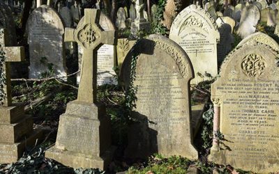 249789938_0_239_2048_1263_1280x0_80_0_0_74c7c7945c112318ee11d4510f119953