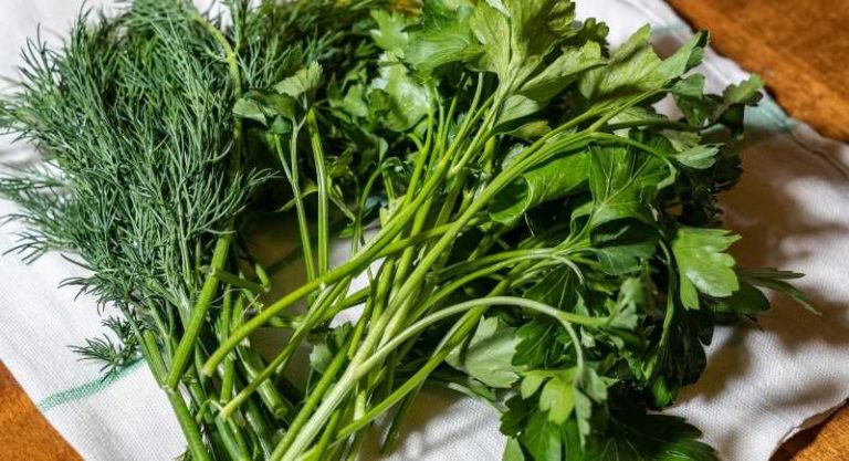 herbs-6948662_1280