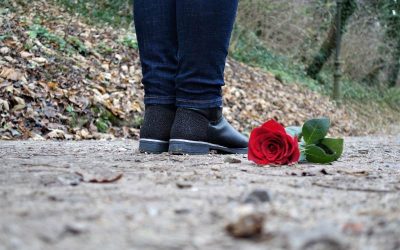 red-rose-on-the-floor-3007761_1280