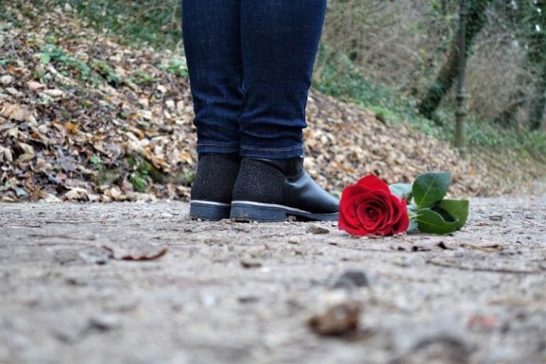 red-rose-on-the-floor-3007761_1280