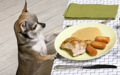 2023-11-14-mixnews-817cf3334978