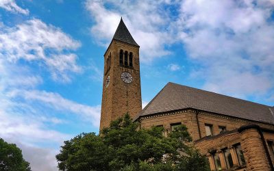 cornell-3659965_1280