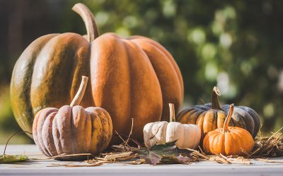 pumpkins-4528653_1280