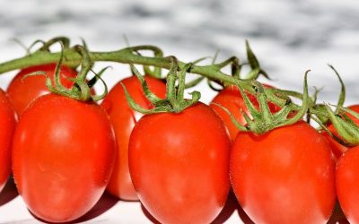 tomatoes-3480643_1280