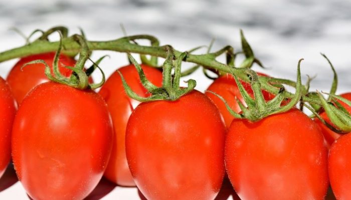 tomatoes-3480643_1280