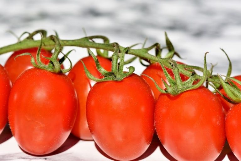tomatoes-3480643_1280
