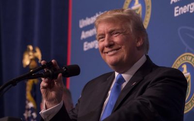 35605558911_4a1580b17c_c