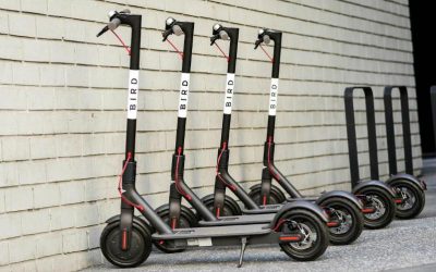 bird-scooters-courtesy-bird-800×500