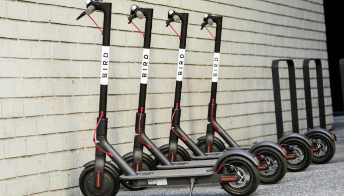 bird-scooters-courtesy-bird-800×500