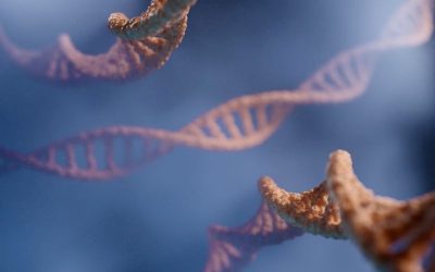 digitale-MES6r7WFb0o-unsplash