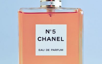 fernando-andrade-potCPE_Cw8A-unsplash