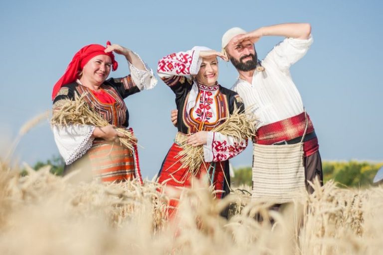 harvest-2460143_1280