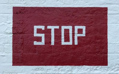 jana-knorr-d-JNCzsRDFE-unsplash