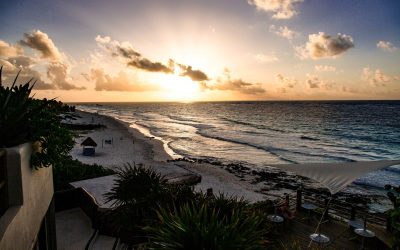 tanja-cotoaga-rosIZHa0wRc-unsplash