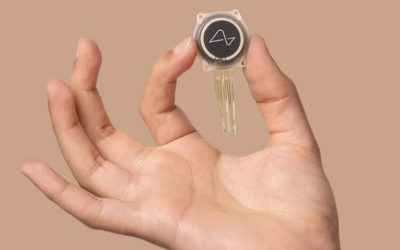 Без названия