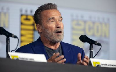 48354901746_61f0830084_c