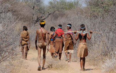 botswana-2219383_1280