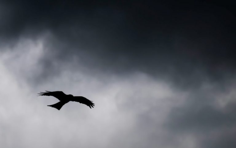 jan-huber-bq7MdBDLnPE-unsplash