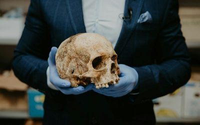 trnava-university-Xhi0xGIa7IA-unsplash