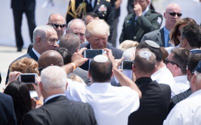 34678040242_8ca6fe79ee_c