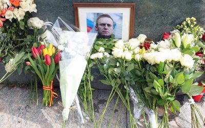 53560510262_8253326f92_c