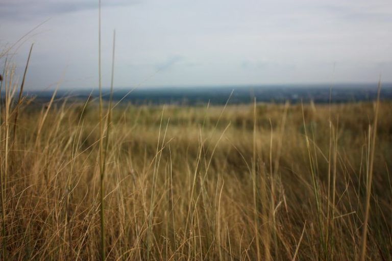 eugenia-romanova-R-ToIgk6NAk-unsplash