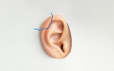 franco-antonio-giovanella-PVDWaEhSIAg-unsplash