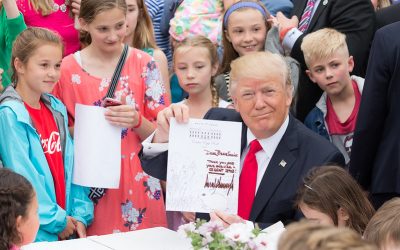 34224812752_fc076b44bc_c