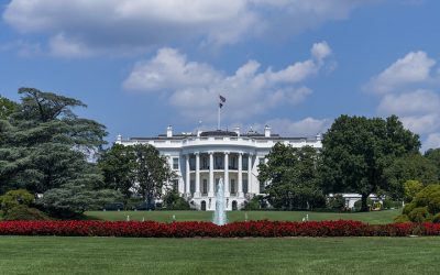 52387069095_cef1dabc8a_c