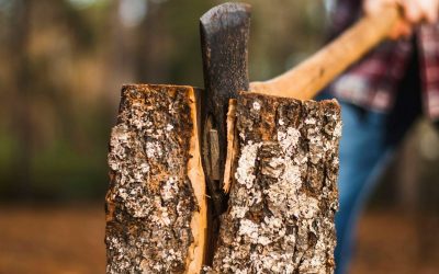 abby-savage-mjT0cPoNvKk-unsplash