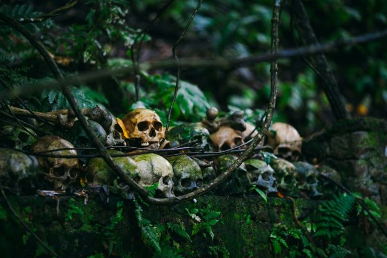 cristian-grecu-_ykb4UBjtGU-unsplash