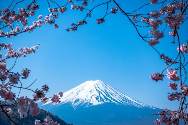 jj-ying-9Qwbfa_RM94-unsplash