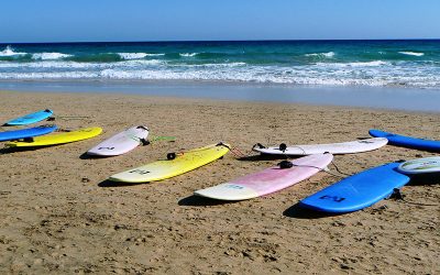 surfboards-753417_1280