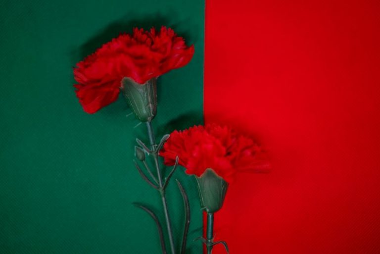 teslariu-mihai-k6KFGXXo5wM-unsplash
