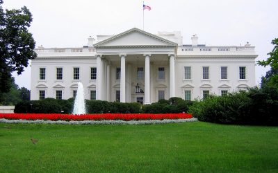 196884897_c7438b2004_c